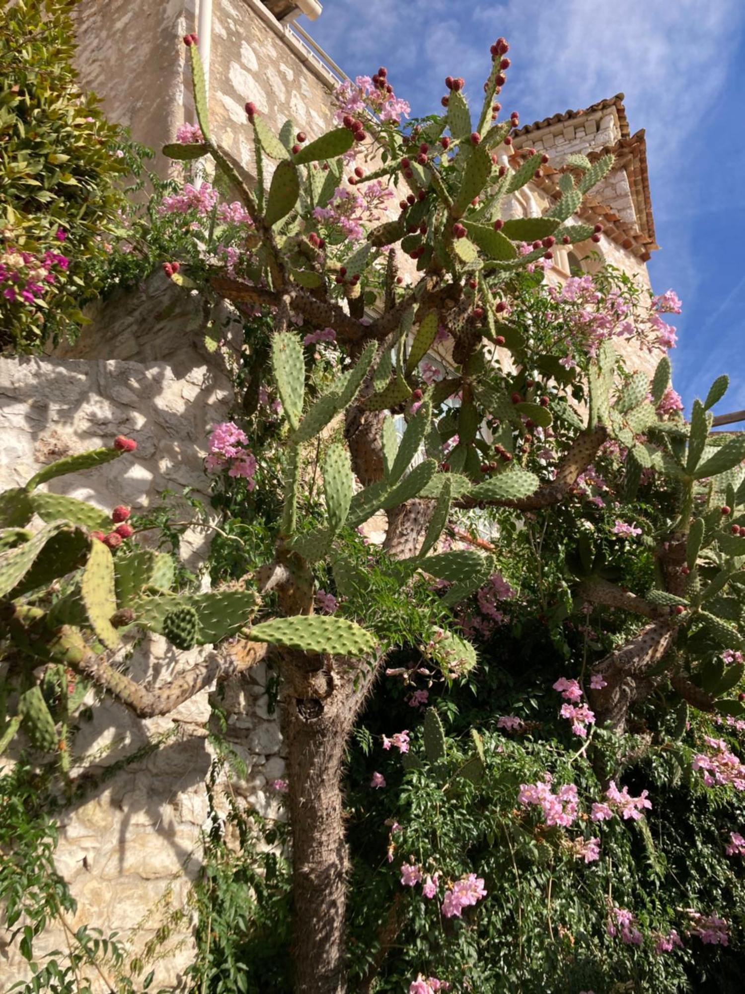 Wunderschoene In Jugendstilvilla Am Hafen Nizza